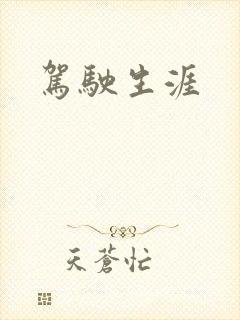 驾驶生涯