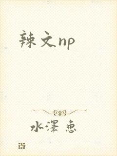 辣文np封面
