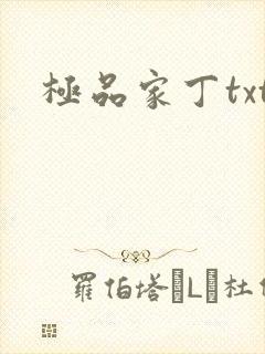 极品家丁txt