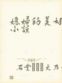 媳妇的美好时代小说封面