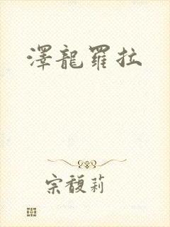 泽龙罗拉封面