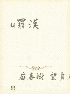 u罗汉封面