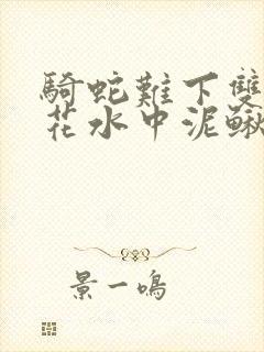 骑蛇难下双金银花水中泥鳅双男主