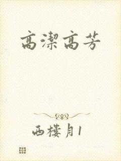 高洁高芳封面