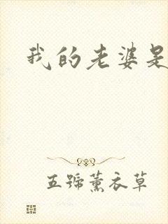 我的老婆是军阀