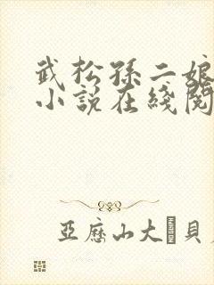 武松孙二娘云雨小说在线阅读