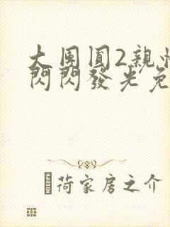大团圆2亲情会闪闪发光免费