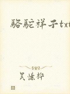 骆驼祥子txt