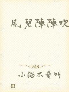 风儿阵阵吹