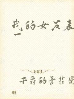 我的女友表里不一封面