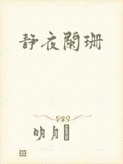 静夜阑珊封面
