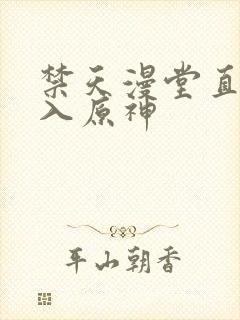 禁天漫堂直接进入原神