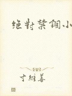 绝对禁锢小说