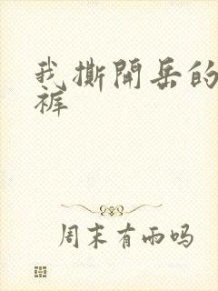 我撕开岳的丁字裤封面