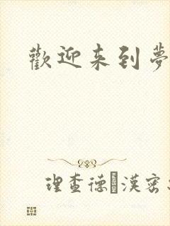 欢迎来到梦乐园封面