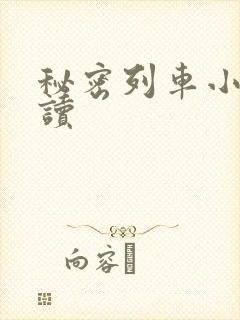秘密列车小说阅读