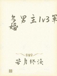 多男主1v3军婚