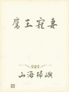 鹰王宠妻