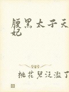 腹黑太子天降萌妃