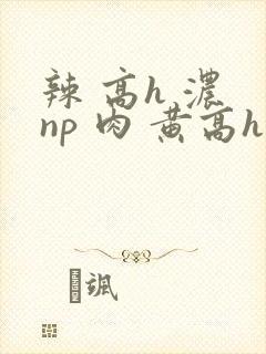 辣 高h 浓 np 肉 黄高h