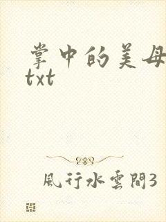 掌中的美母版主txt