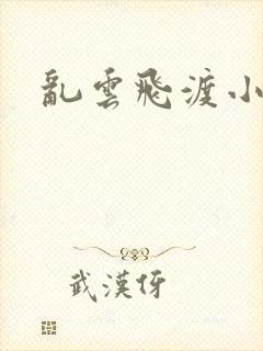 乱云飞渡小说封面