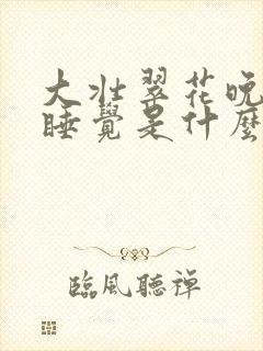 大壮翠花晚上不睡觉是什么电视剧封面