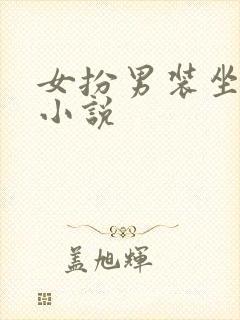 女扮男装坐江山小说封面