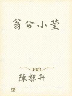 翁公小莹