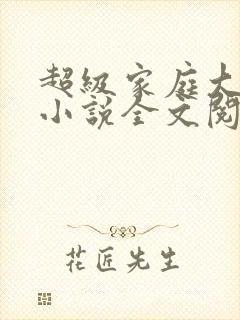 超级家庭大杂烩小说全文阅读