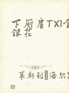下厨房TXl金银花封面