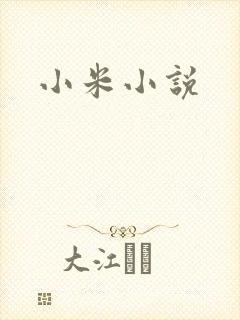 小米小说