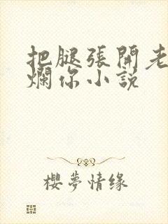 把腿张开老子臊烂你小说封面