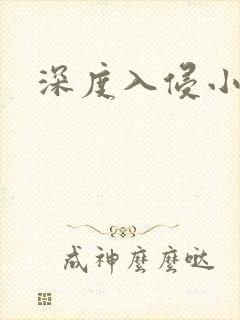 深度入侵小说
