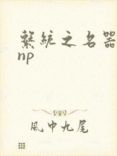 系统之名器攻略np