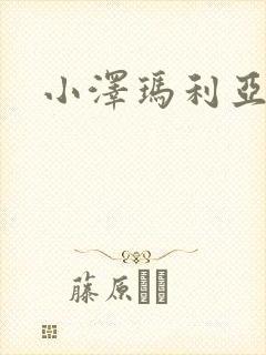 小泽玛利亚作品封面
