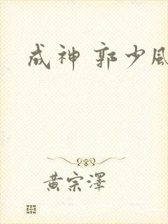 成神 郭少风封面