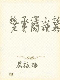 魏承泽小说全文免费阅读无弹窗笔趣