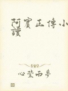 阿宾正传小说在读