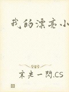 我的漂亮小后妈