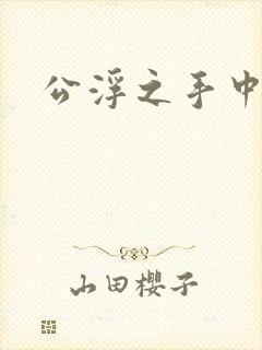 公浮之手中字5