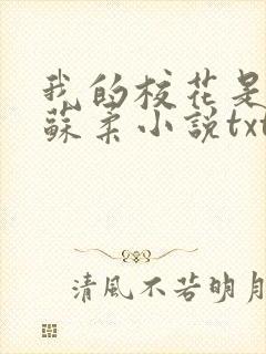 我的校花是福姬苏柔小说txt