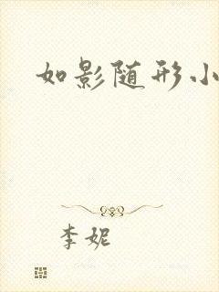 如影随形小说