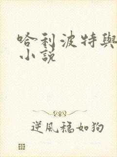 哈利波特与密室小说
