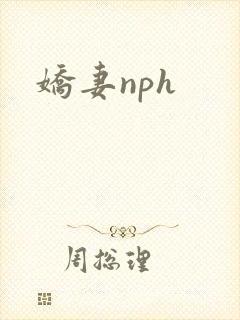 娇妻nph