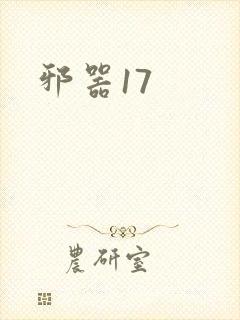 邪器17