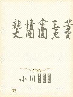 亲情会王芳高敏大团圆免费阅读
