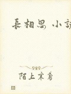 长相思 小说