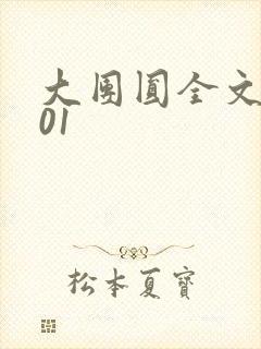 大团圆全文阅读01封面