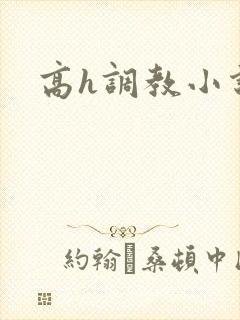 高h调教小说封面
